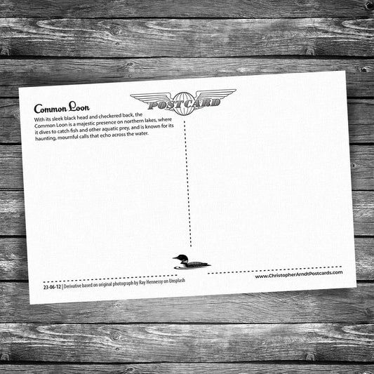 Loon Postcard