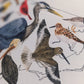 NC Birds notecard Set "Hello from NC" on Front
