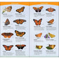 Butterflies of the South & Southeast