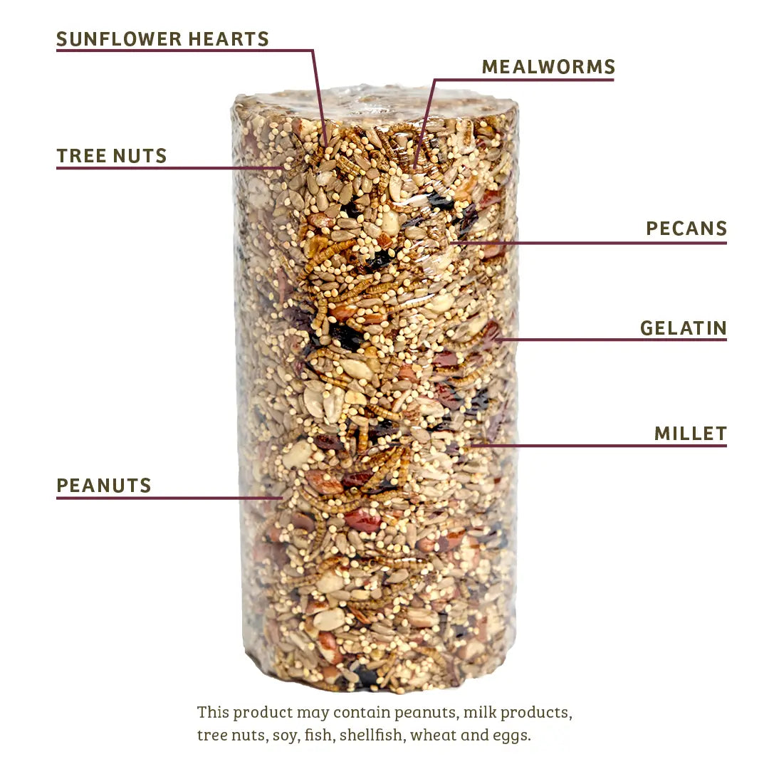 Bugs & Nuts Seed Cylinder