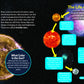 Kid's Guide to the Night Sky