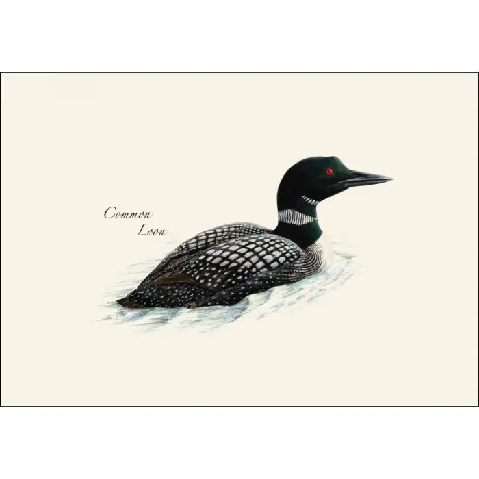 Loon Assortment