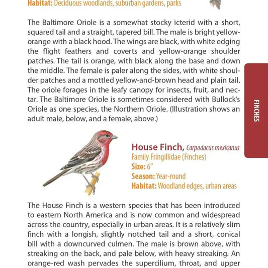 Birds of North Carolina