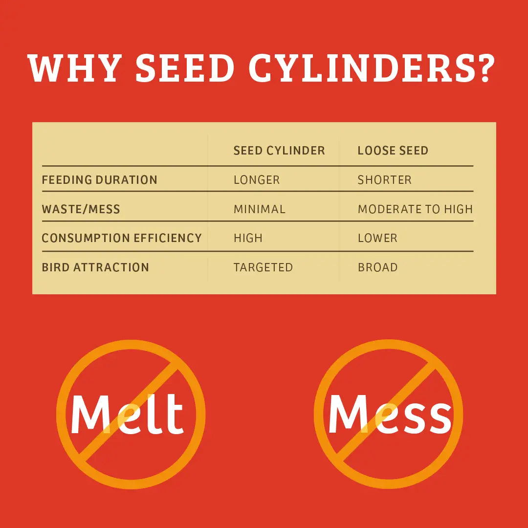 Cardinals Crave Seed Clylinder