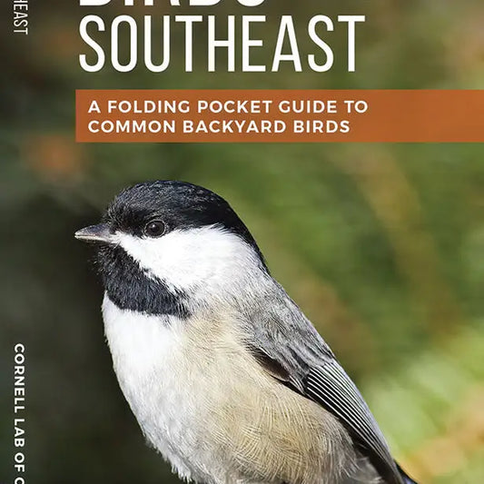 Feeder Birds of the Southeast