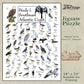 Birds of the South Atlantic Coast