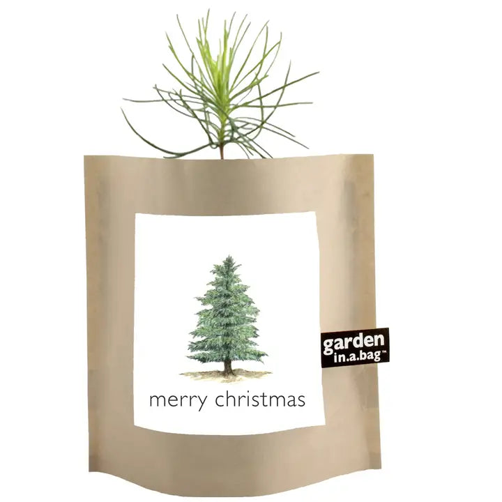 Garden in a Bag, Christmas Tree