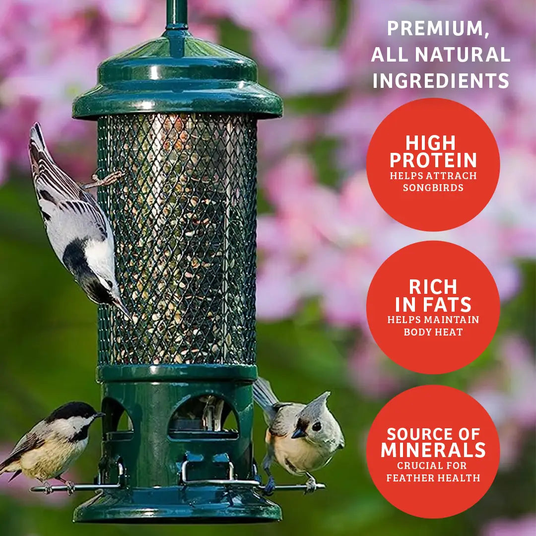 Cardinals Crave Wild Bird Food 5 lbs