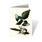 Audubon's Birds of America: An Abbeville Notecard, Cards