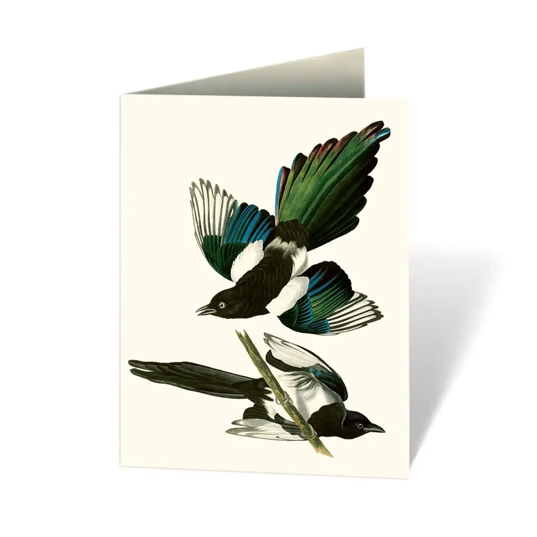 Audubon's Birds of America: An Abbeville Notecard, Cards