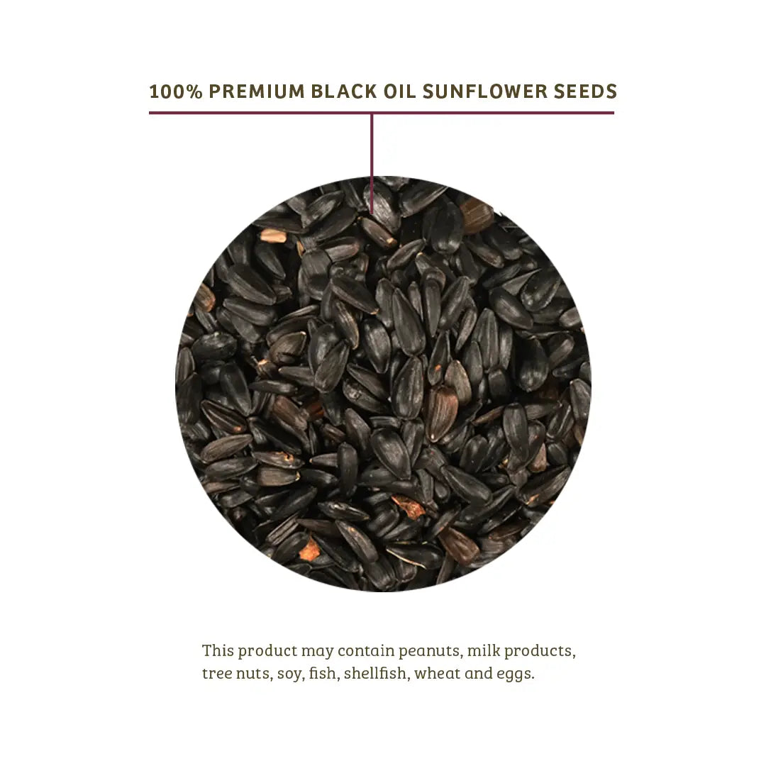 Black Oil Sunflower Wild Bird Food, 15 lbs