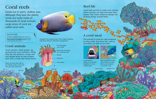 First Encyclopedia of Seas and Oceans: Ben Denne