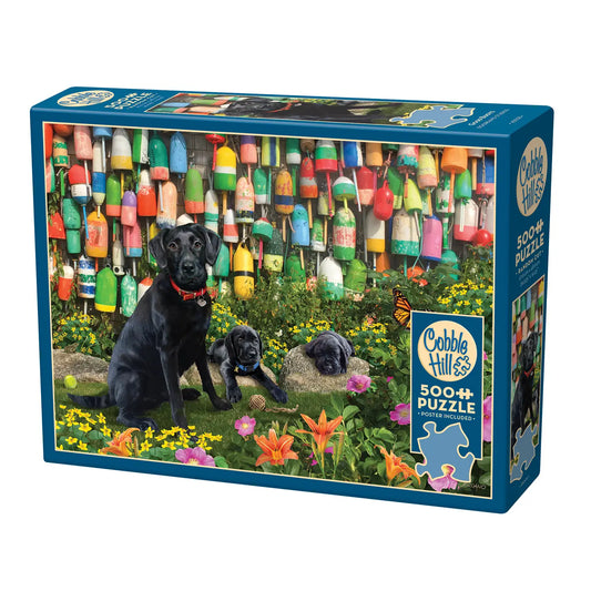 Good Buoys 500-Piece