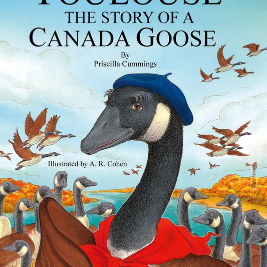 Toulouse The Story of a Canada Goose