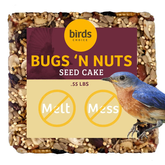 Bugs & Nuts Seed Cake