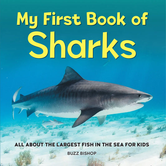 My First Book of SHARKS