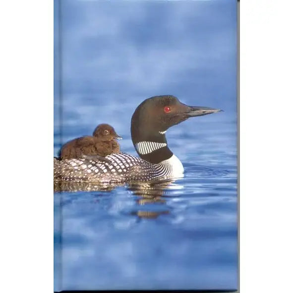 Loon Blank Journal