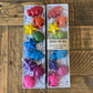 Under the Sea Crayon Gift Set
