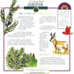 Berries, Nuts & Seeds: Take-Along Guide