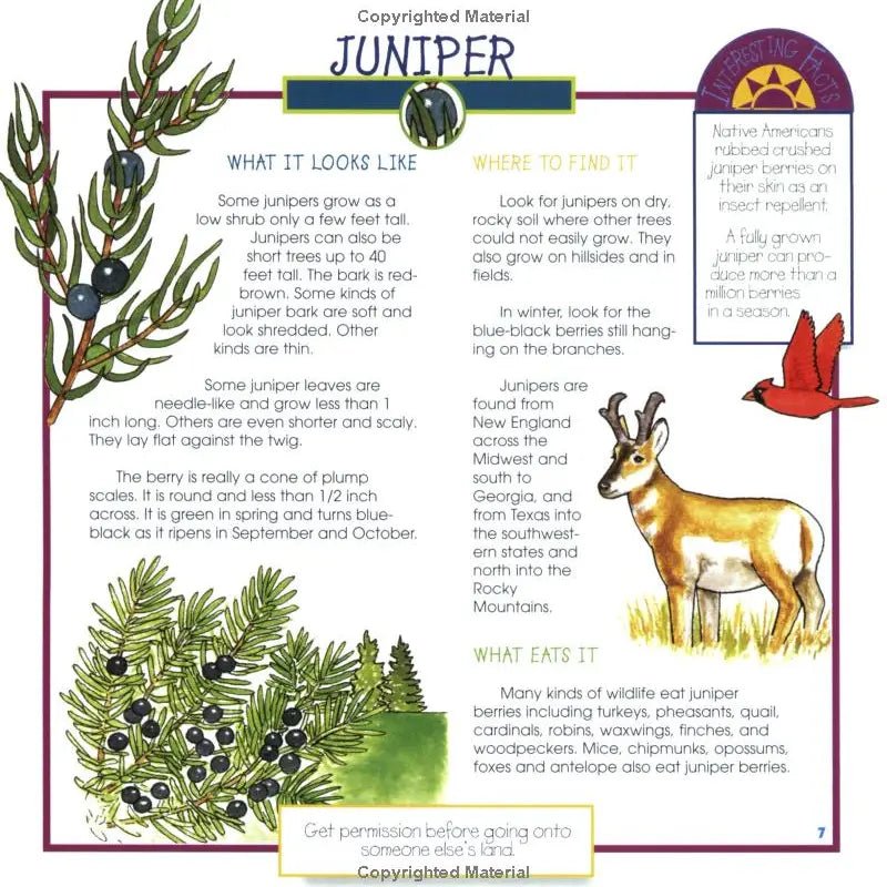 Berries, Nuts & Seeds: Take-Along Guide
