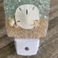 Coastal Night Light-Sand Dollar