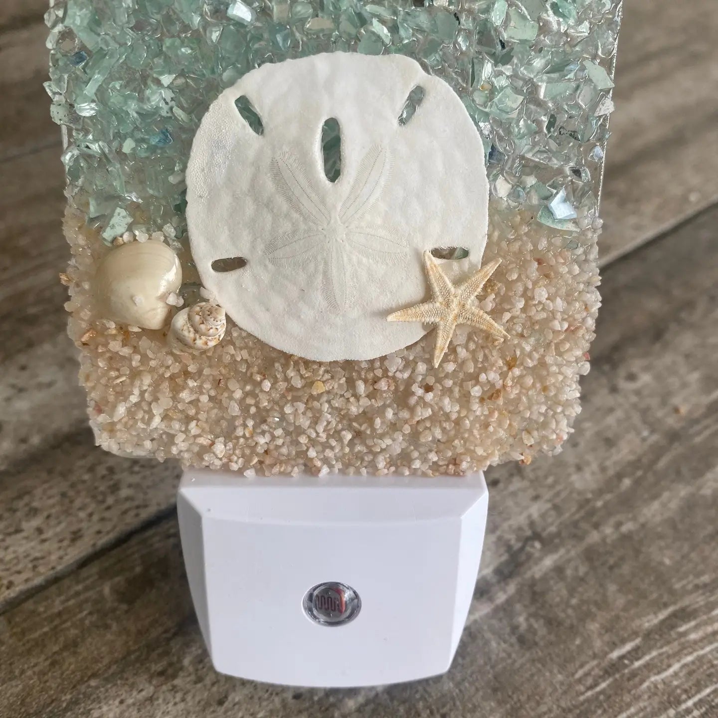 Coastal Night Light-Sand Dollar