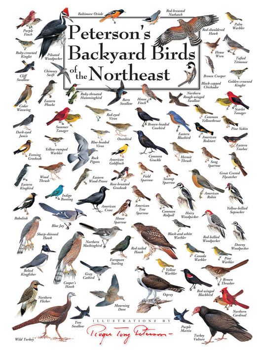 Peterson's Backyard Birds of the Northeast Puzzle
