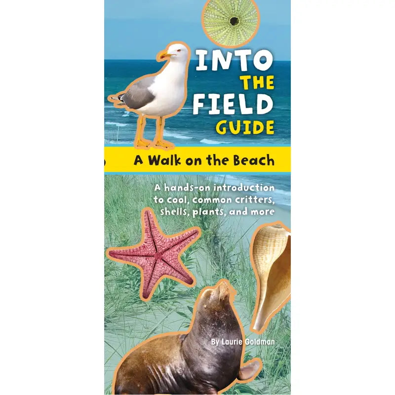Walk on the Beach By Laurie Goldman