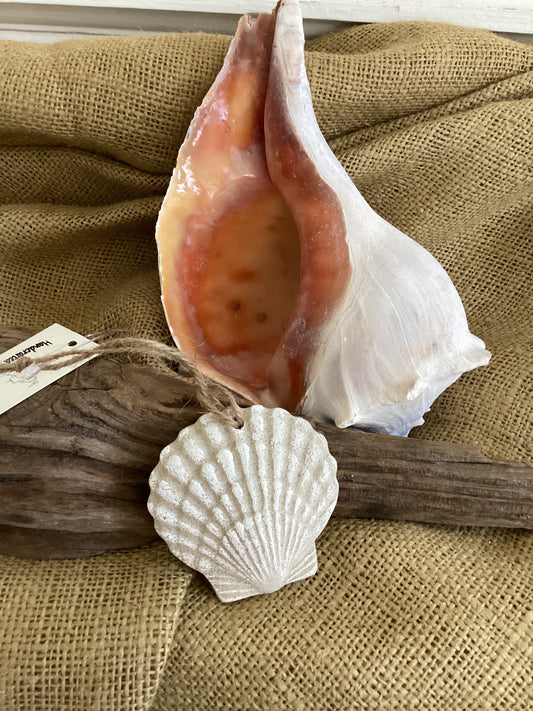 Scallop Shell Sand Ornament