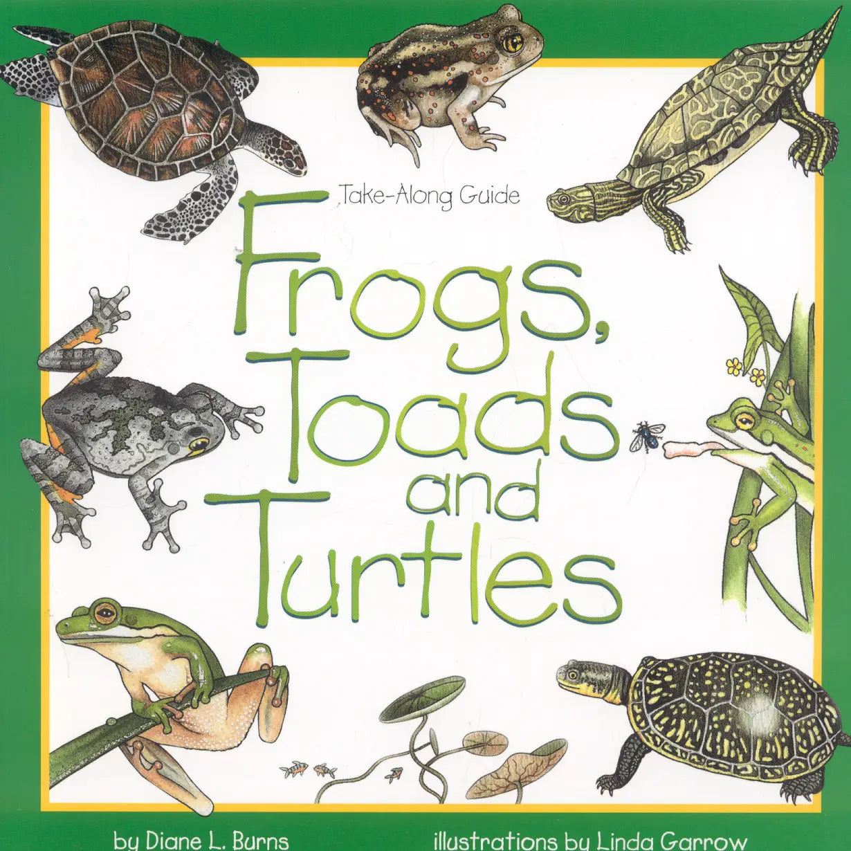 Frogs, Toads & Turtles: Take Along