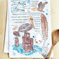 All about the Brown Pelican