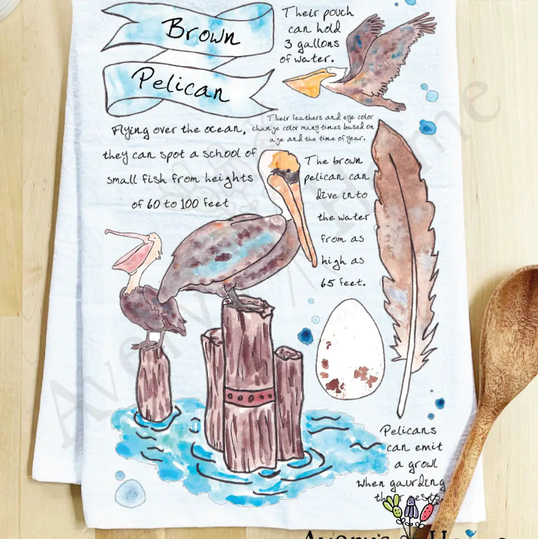 All about the Brown Pelican