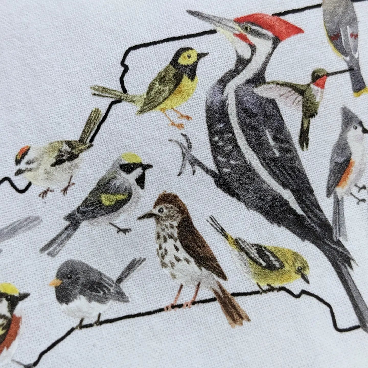 NC Birds Tea Towel