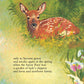 The Legend of the Loon Picture Book