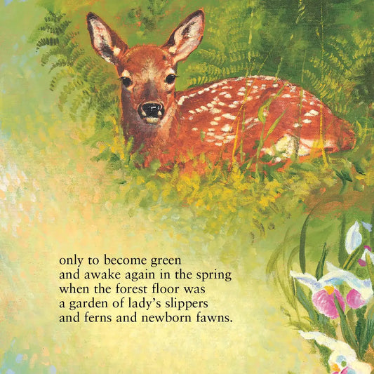 The Legend of the Loon Picture Book