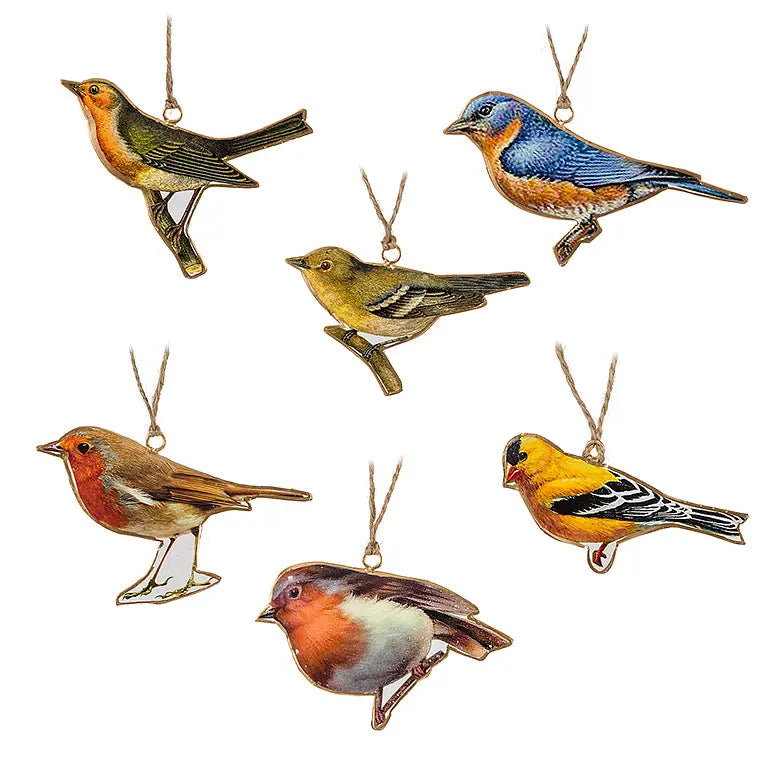 Colorful Bird Ornaments  5"