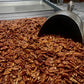 Pecan Caramel Turtle - Pack of 2