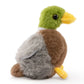 Mallard Duck Plush