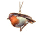 Colorful Bird Ornaments  5"
