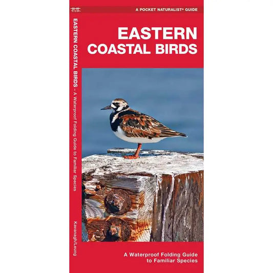EASTERN Coastal Birds