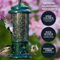Black Oil Sunflower Wild Bird Food, 15 lbs