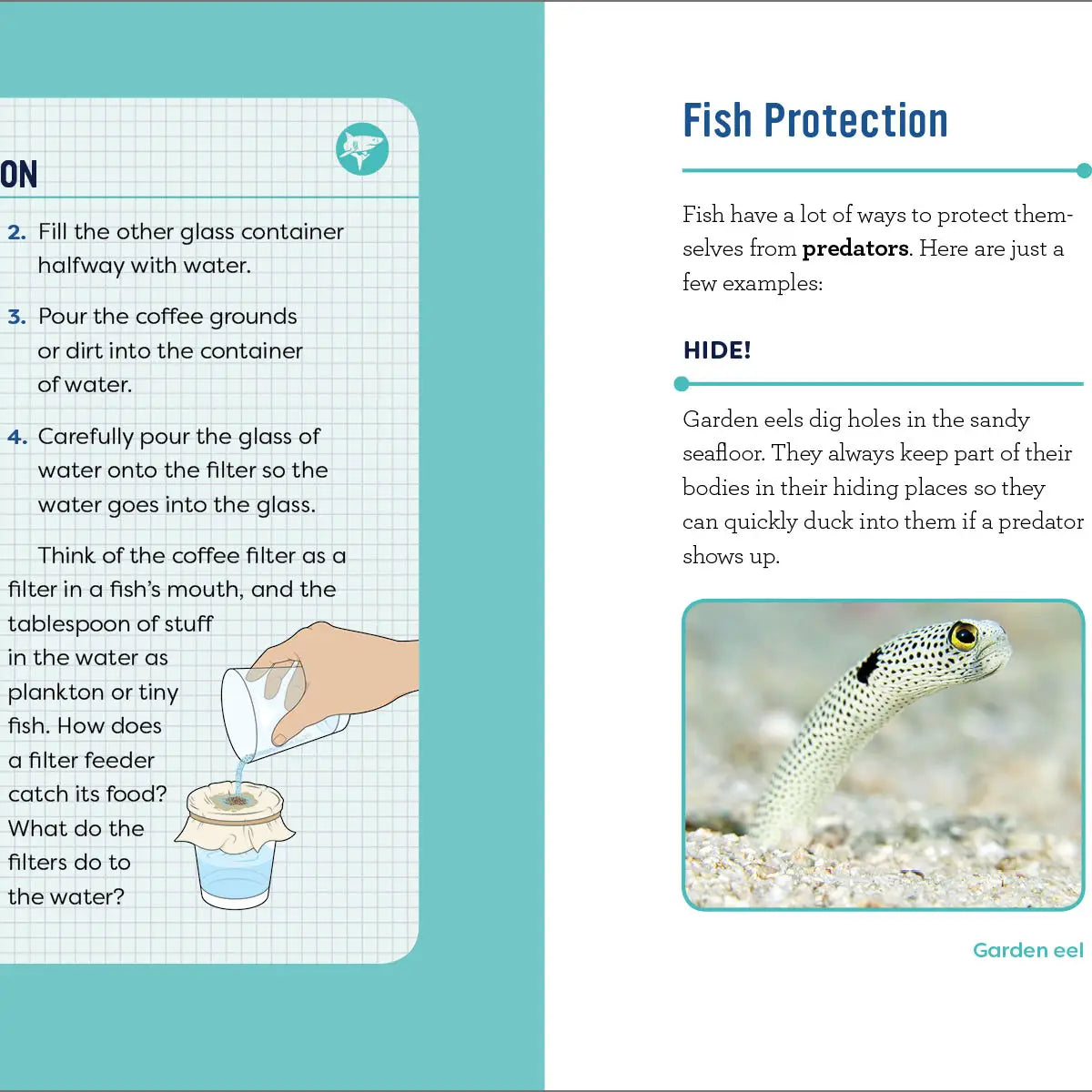 FISH for KIDS