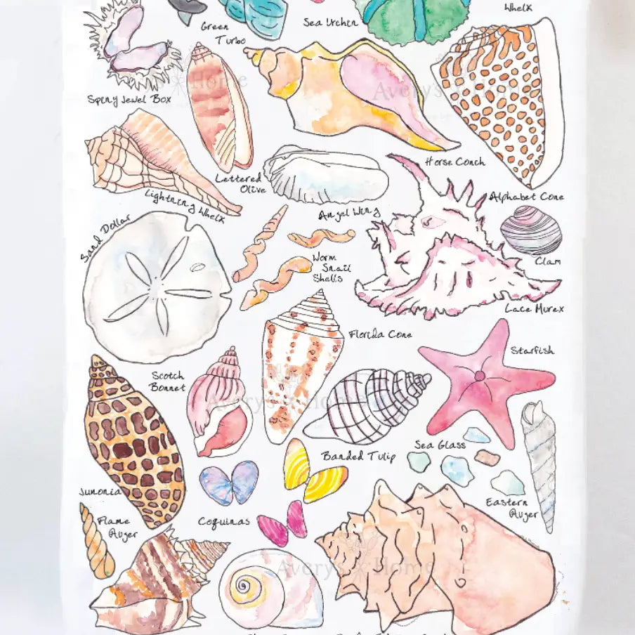 Sea Shell Collector tea towel
