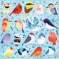 Songbirds 500 Pc Family Puzzle