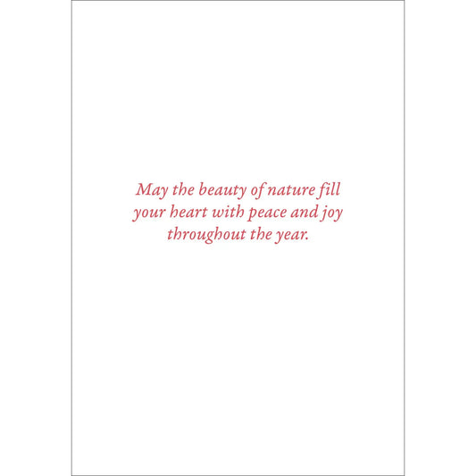 Cardinals in Evergreen Small Boxed Holiday Cards