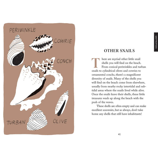 Beach Combing-Pocket Nature-