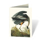 Audubon's Birds of America: An Abbeville Notecard, Cards