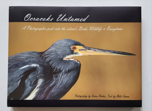 Ocracoke Untamed