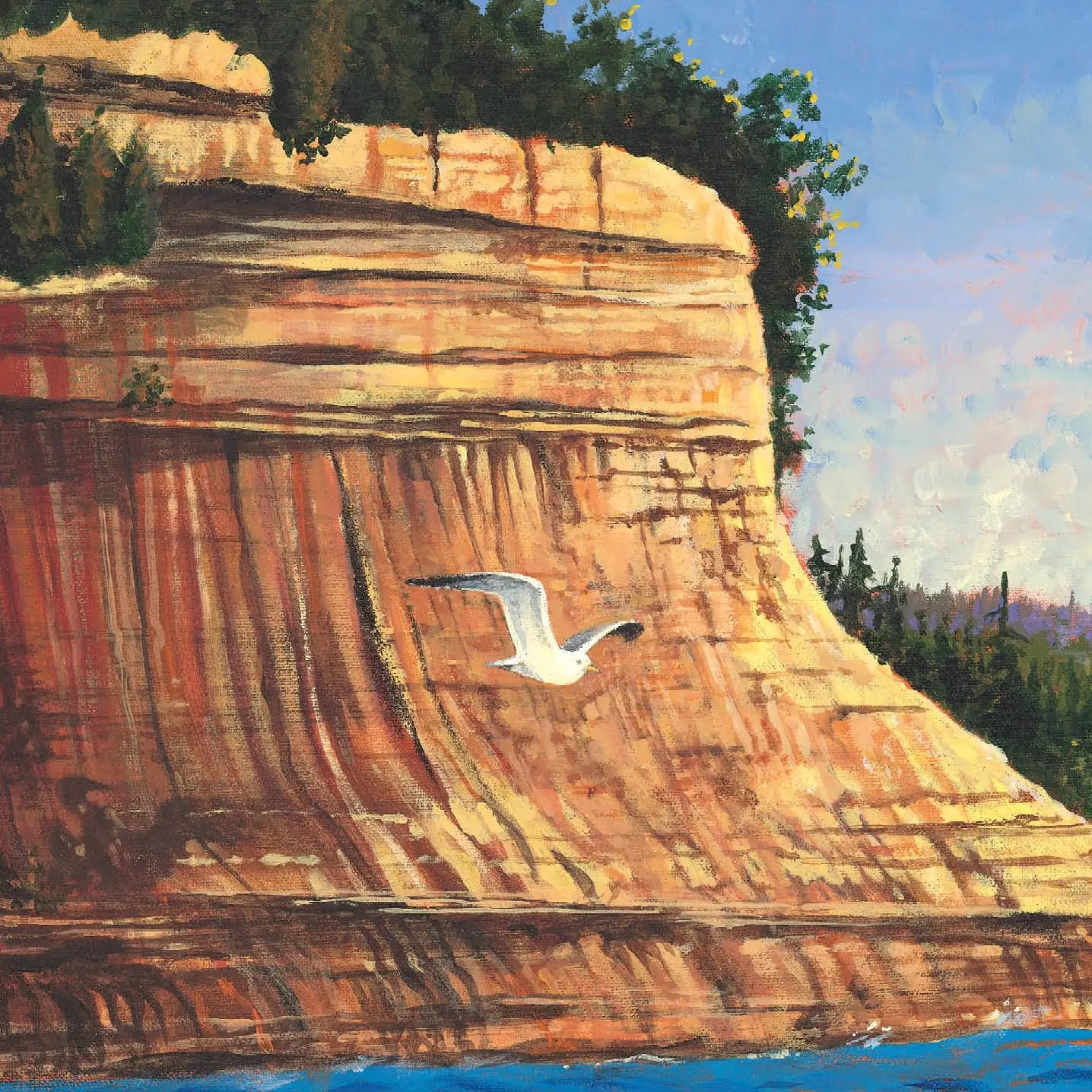 The Legend of the Loon Picture Book