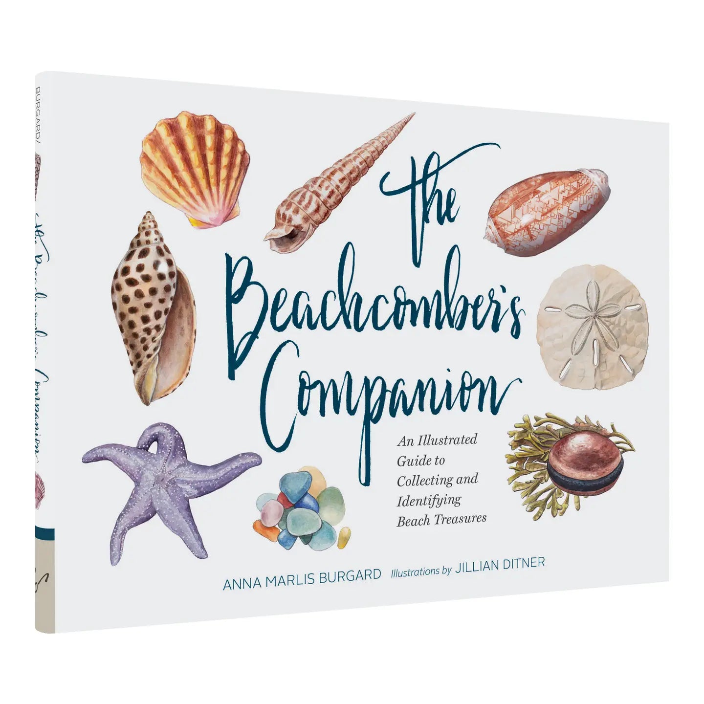The Beachcomber's Companion